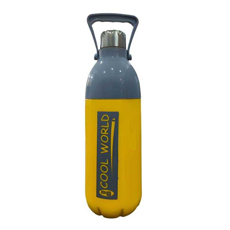 Cool World Insulated Bottle