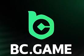 Comprehensive Guide to BC.Game KZ Registration Process
